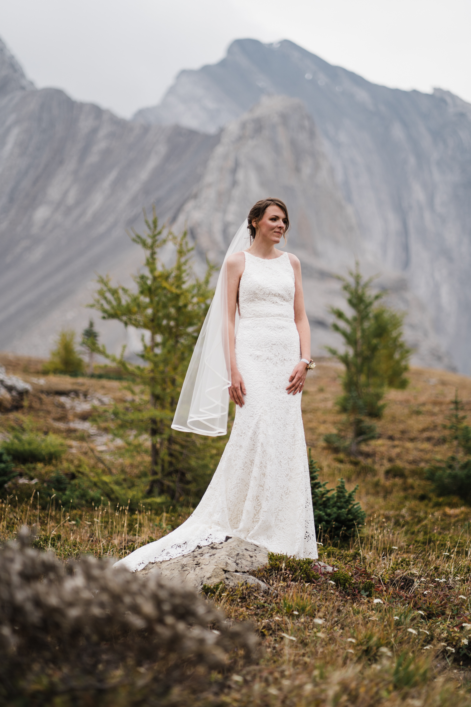 Bride stands in sub alpine meadow looking off into the distance in Kananaskis. 