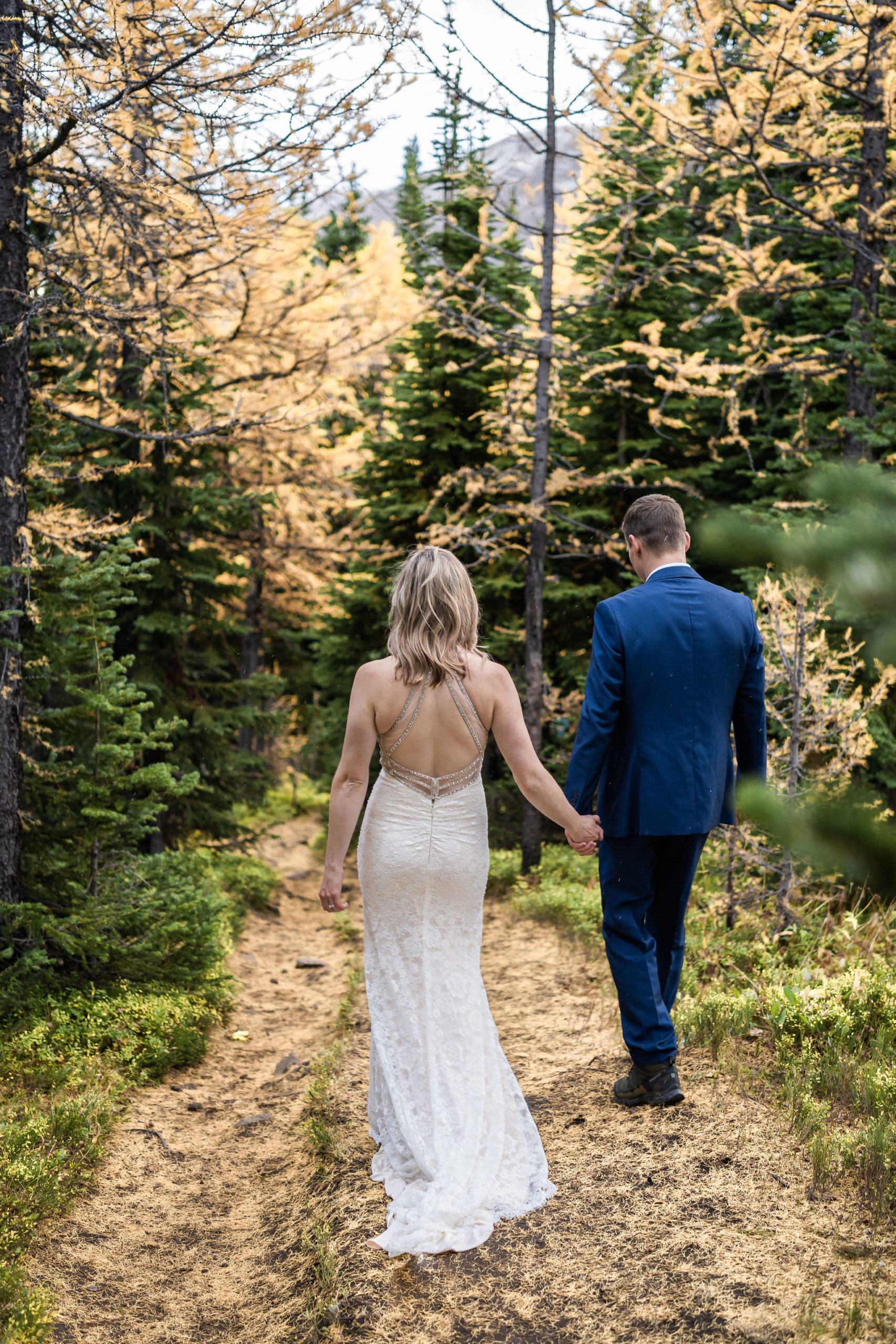 Bride and groom hold holds walking down trail with yellow larch trees in Kananaskis. 