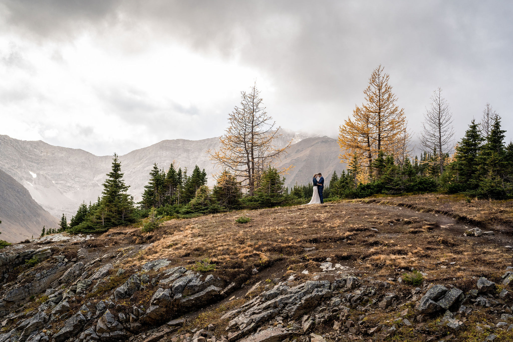 Bride and groom stand between two larch trees in kananaskis. 
