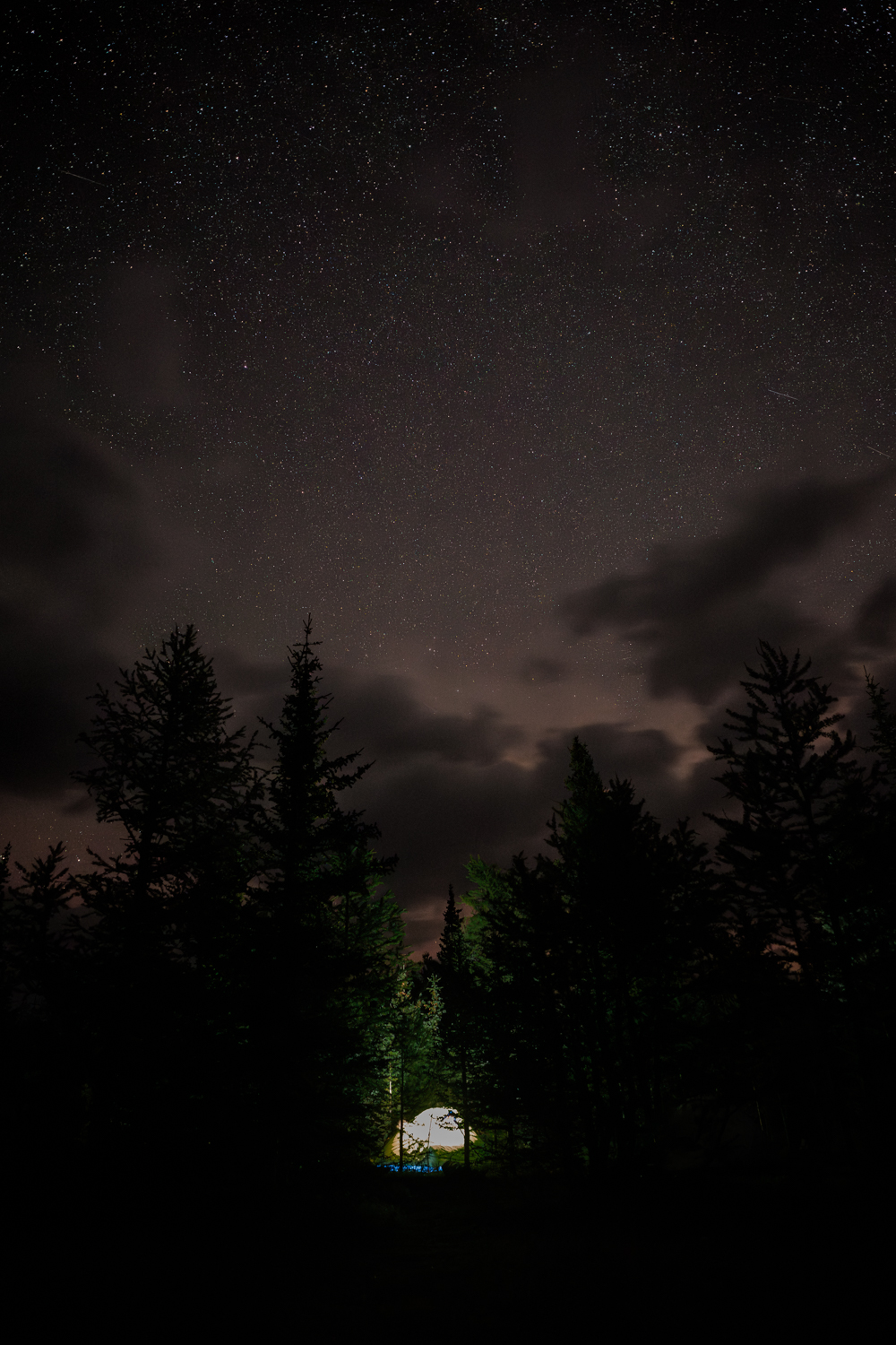 tent lit up in the trees in the foreground with a starry night sky above during a camping elopement in alberta 