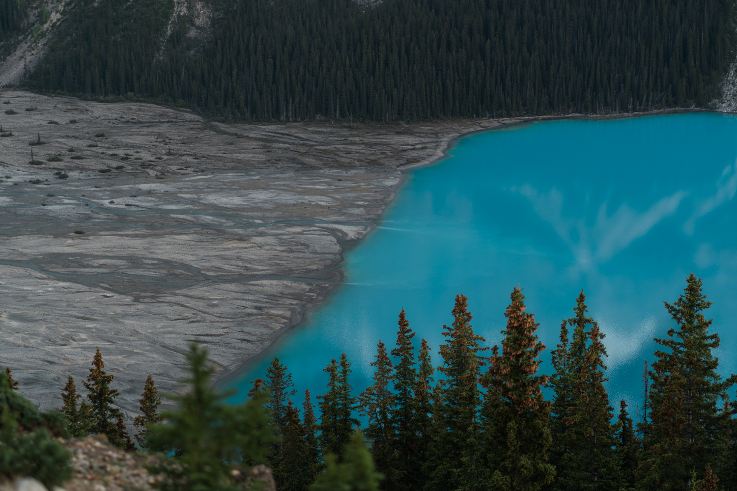 A close up of the glacier run off into the blue waters of Peyto Lake in Banff National Park