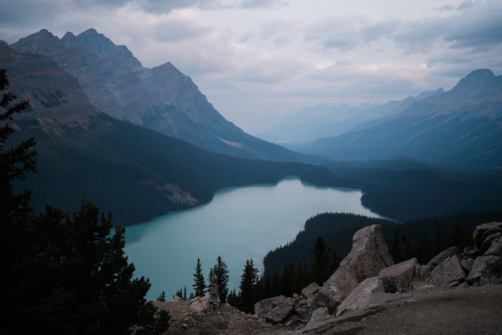 Peyto Lake in Banff just before sunrise at blue hour. 