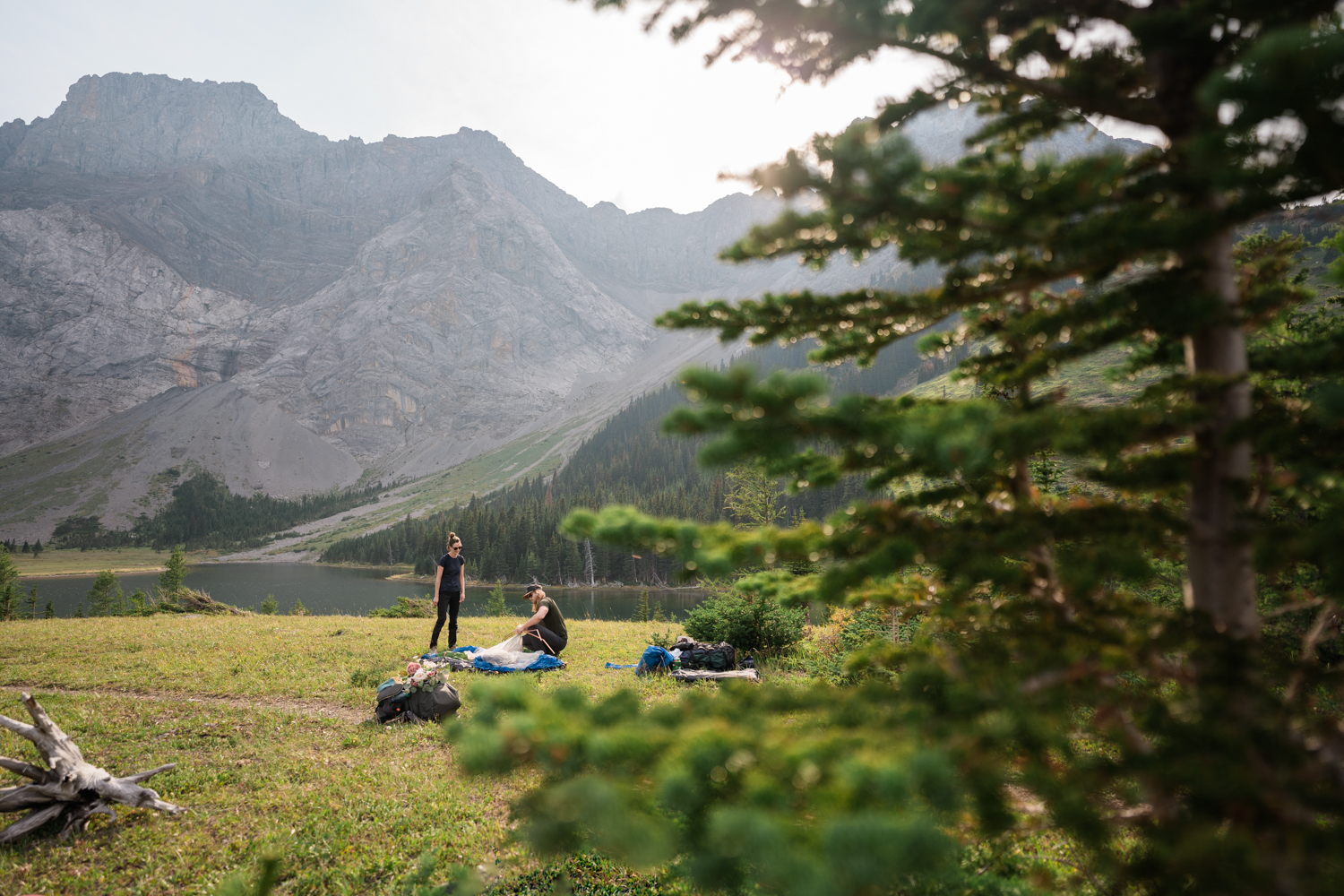 Couple sets up camp in Kananaskis during camping elopement.
